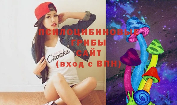 ешки Медвежьегорск