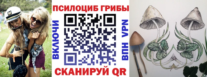 Псилоцибиновые грибы Magic Shrooms  Купить закладки  Спасск-Рязанский 